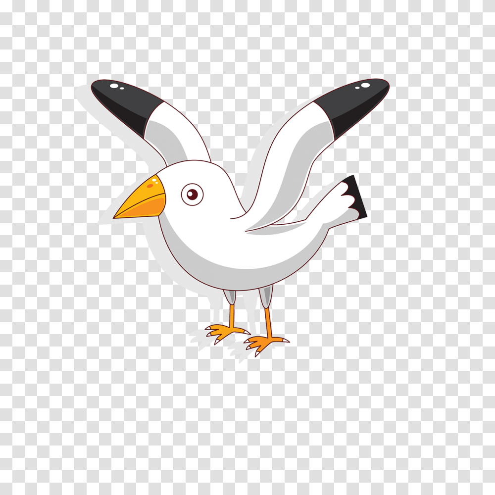 Seagull Clipart Australian Bird Cartoon Seagull, Animal, Beak, Fowl, Poultry Transparent Png