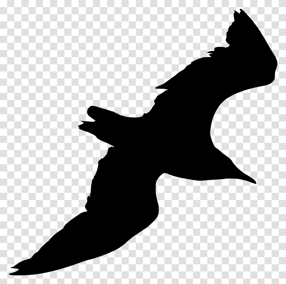 Seagull Clipart Black And White Silhouette Seagull, Gray, World Of Warcraft Transparent Png