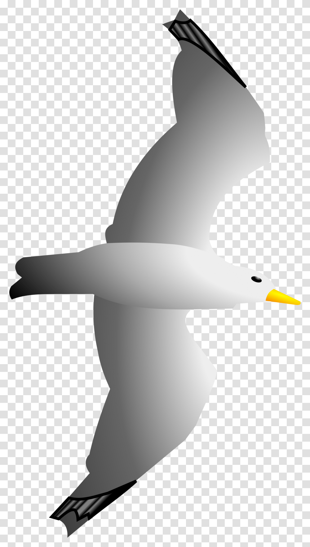 Seagull Clipart Clip Art Library, Flying, Bird, Animal, Albatross Transparent Png