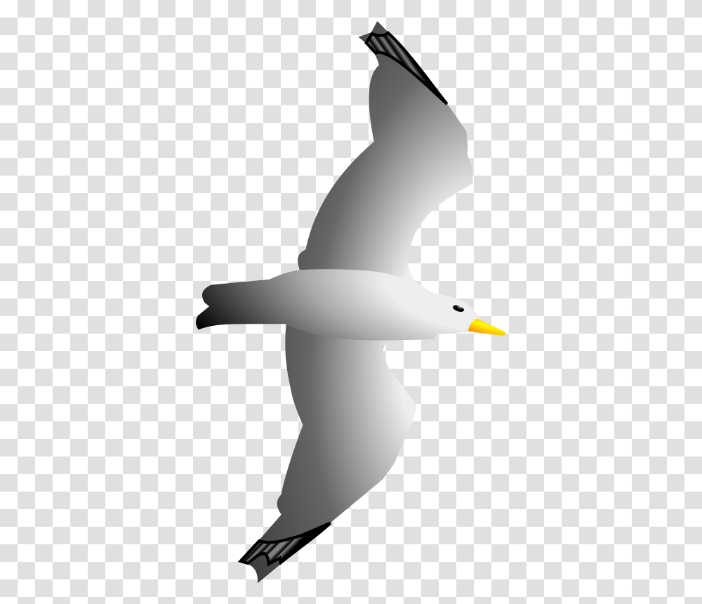 Seagull Clipart Free Images Image Image Clip Art, Flying, Bird, Animal, Swan Transparent Png