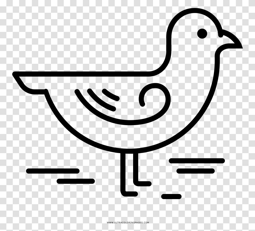Seagull Coloring Page, Gray, World Of Warcraft Transparent Png