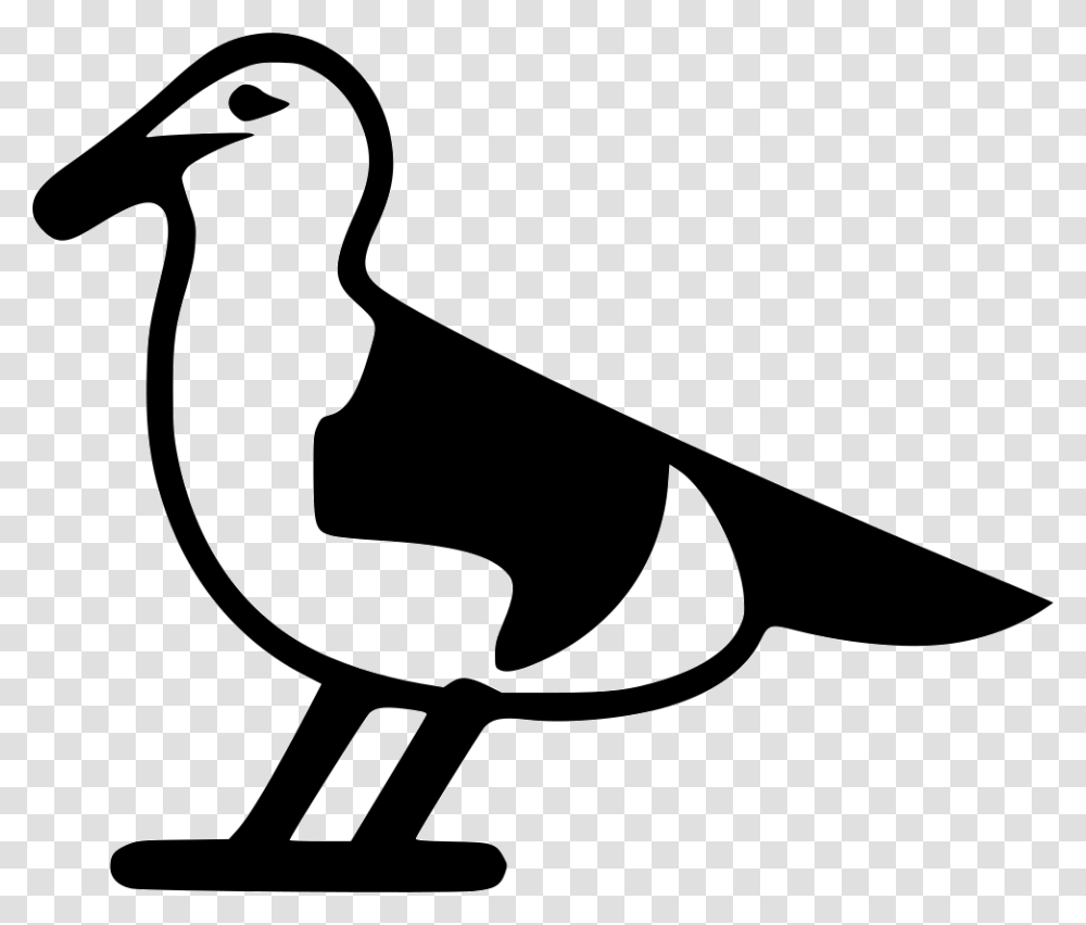 Seagull Duck, Hammer, Tool, Bird, Animal Transparent Png