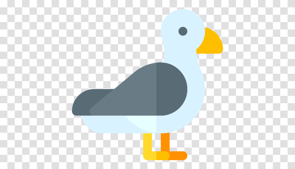 Seagull Free Animals Icons Duck, Bird, Beak, Puffin, Goose Transparent Png