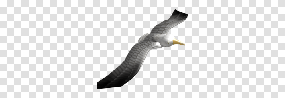 Seagull Friend Roblox Wiki Fandom Seagulls Roblox, Flying, Bird, Animal, Beak Transparent Png