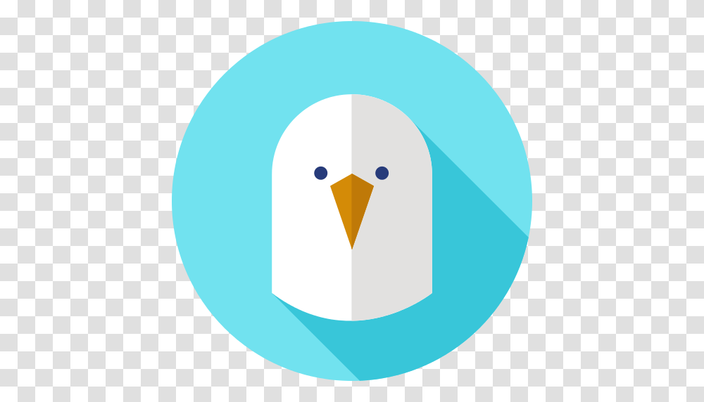 Seagull Icon, Bird, Animal, Soccer Ball, Football Transparent Png