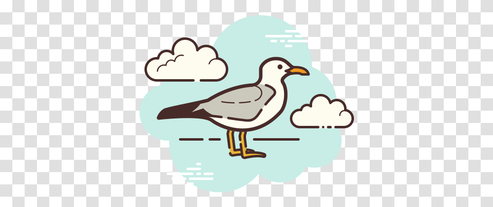 Seagull Icon Cute Roblox Logo, Bird, Animal, Partridge, Waterfowl Transparent Png