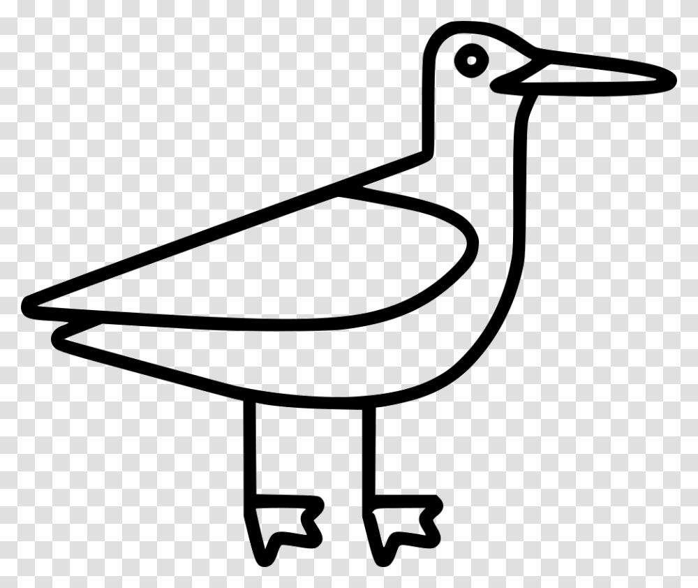 Seagull Icon Free Download, Bird, Animal, Hammer, Tool Transparent Png