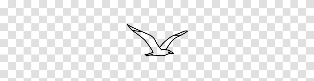Seagull Icons Noun Project, Gray, World Of Warcraft Transparent Png
