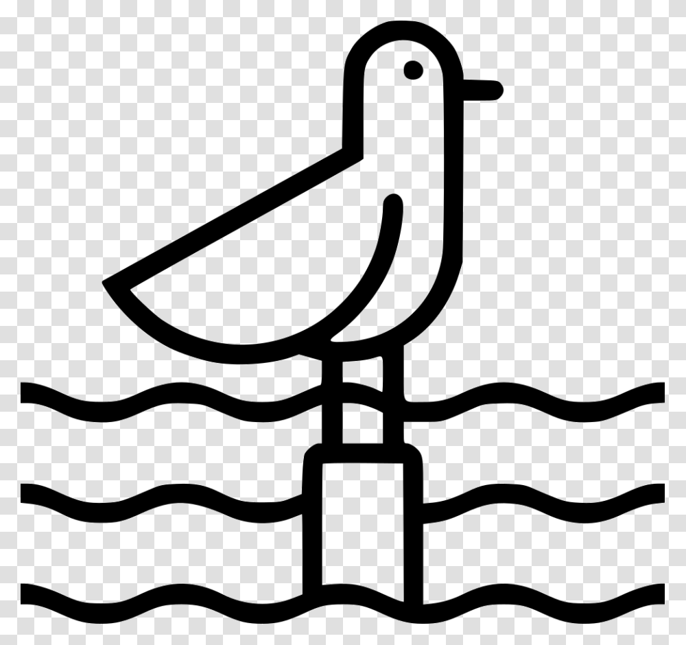 Seagull, Label, Tree Transparent Png