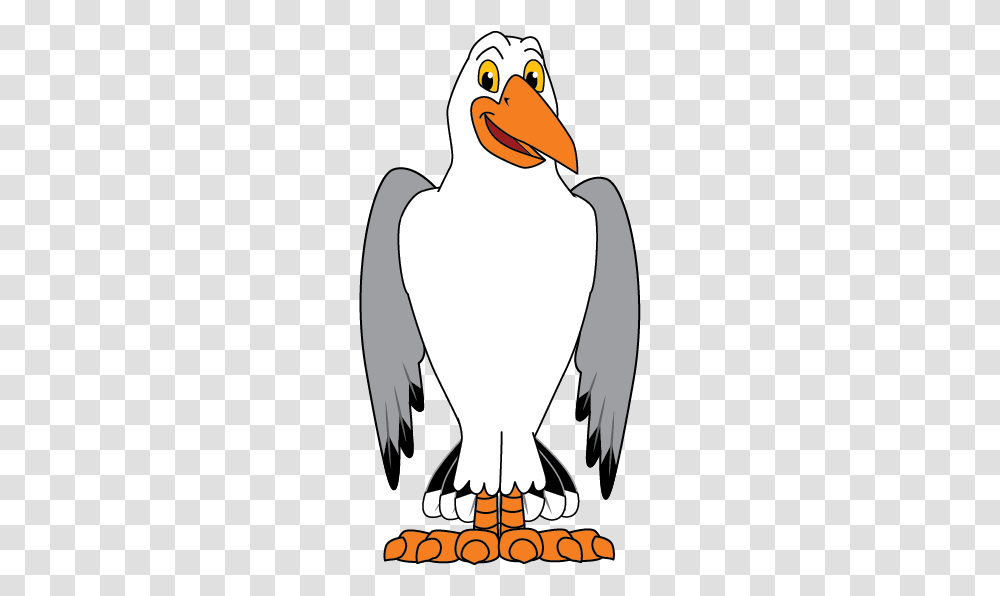 Seagull Mascot, Penguin, Bird, Animal, King Penguin Transparent Png