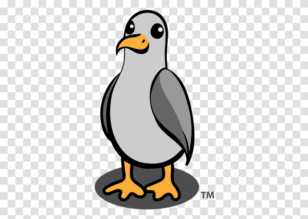 Seagull Milk Premium Australian Suncare Animated Seagull, Penguin, Bird, Animal, King Penguin Transparent Png