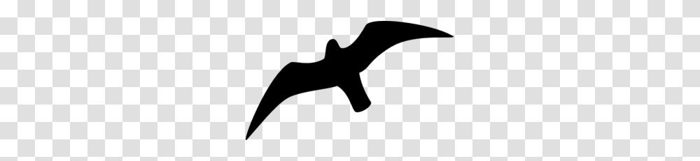 Seagull Outline Clip Art, Gray, World Of Warcraft Transparent Png