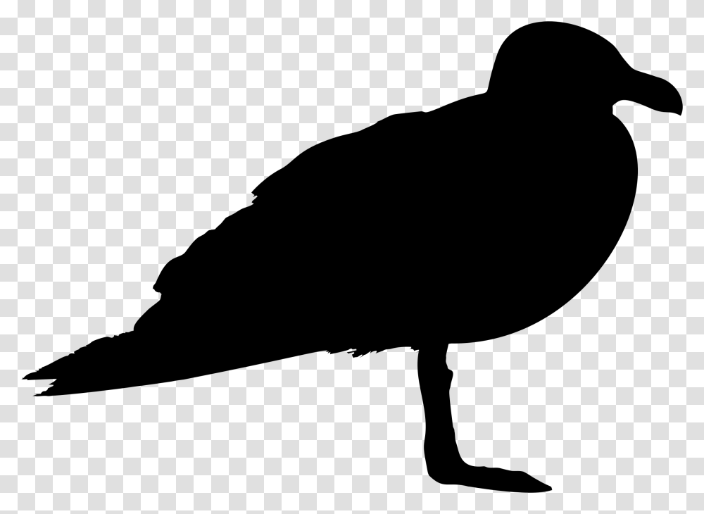 Seagull Profile Silhouette Icons, Gray, World Of Warcraft Transparent Png