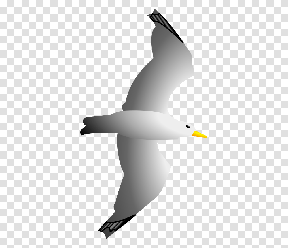 Seagull Remix By, Animals, Flying, Bird, Swan Transparent Png