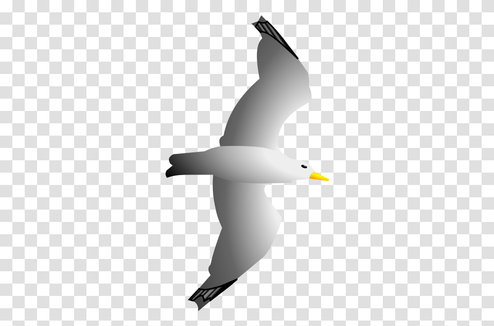 Seagull Remix By Merlin2525 Clip Art, Flying, Bird, Animal, Albatross Transparent Png