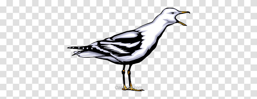 Seagull Royalty Free Vector Clip Art Illustration, Bird, Animal, Waterfowl, Magpie Transparent Png