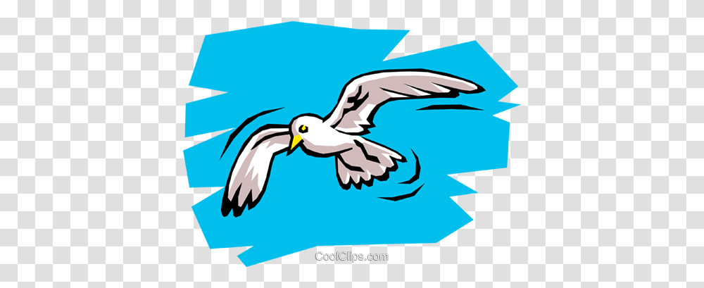 Seagull Royalty Free Vector Clip Art Illustration, Flying, Bird, Animal, Kite Bird Transparent Png