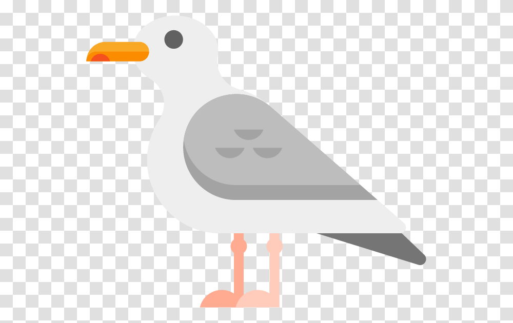 Seagull Seabird, Lamp, Animal, Dove, Pigeon Transparent Png