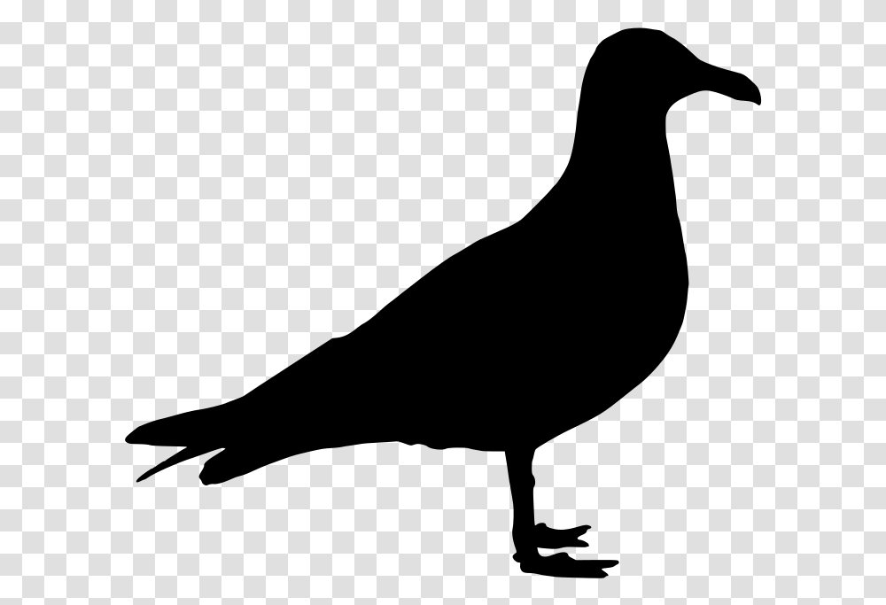 Seagull Silhouette Clipart Silhouette Pigeon Clipart, Gray, World Of Warcraft Transparent Png