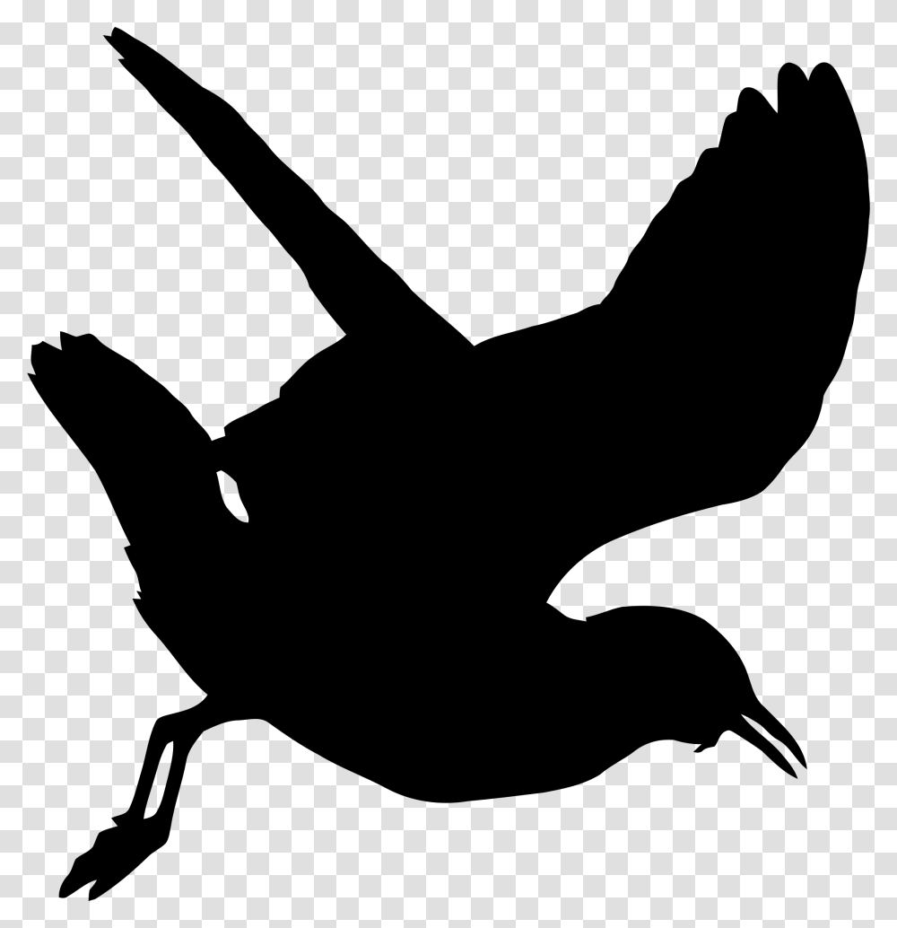 Seagull Silhouette Icons, Gray, World Of Warcraft Transparent Png