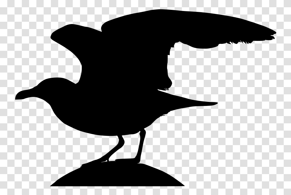 Seagull Silhpuette, Gray, World Of Warcraft Transparent Png