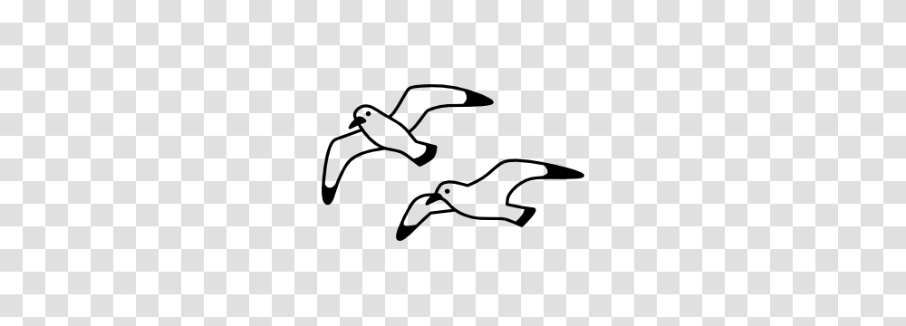 Seagull Stickers Decals Multiple Unique Designs Available, Animal, Bird, Flying, Flamingo Transparent Png