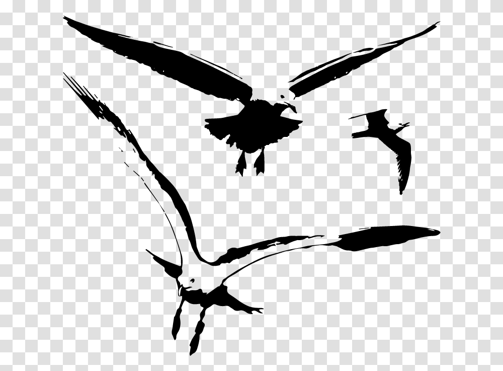 Seagull Vector, Nature, Outdoors, Outer Space, Astronomy Transparent Png