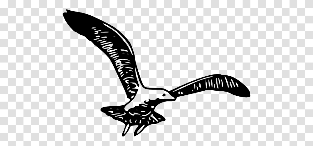 Seagull Wing Cliparts, Gray, World Of Warcraft Transparent Png