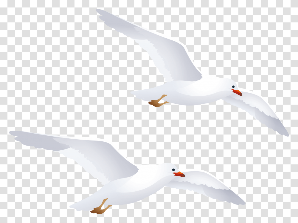 Seagulls Clipart Seagulls Clipart, Flying, Bird, Animal, Waterfowl Transparent Png