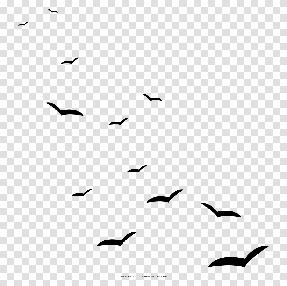 Seagulls Coloring, Gray, World Of Warcraft Transparent Png