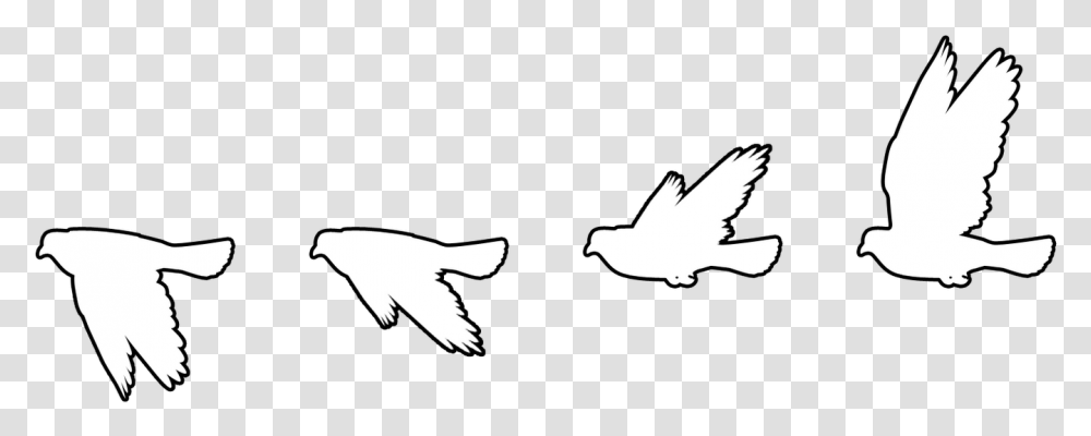 Seagulls Flying White Flying Bird Silhouette, Animal, Eagle, Blackbird, Agelaius Transparent Png
