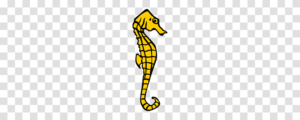 Seahorse Holiday, Sea Life, Animal, Mammal Transparent Png