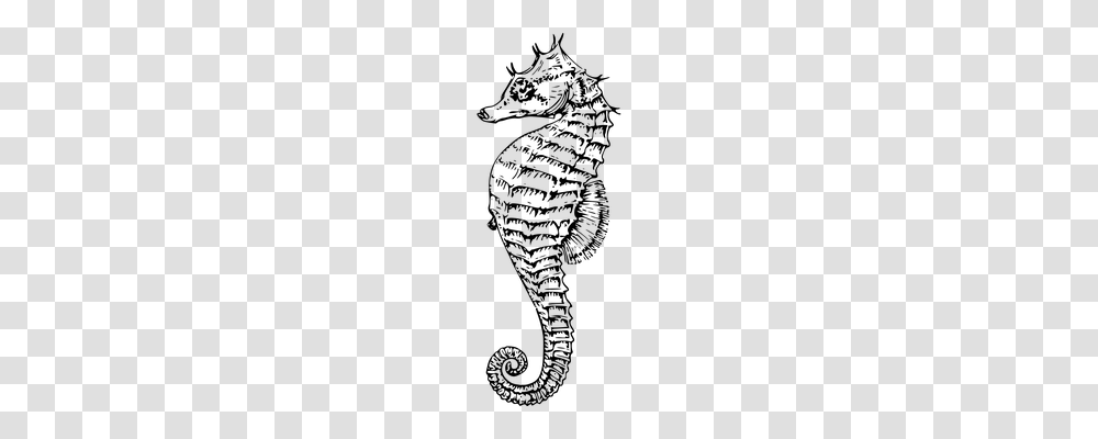 Seahorse Animals, Gray, World Of Warcraft Transparent Png