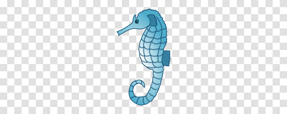 Seahorse Holiday, Water, Animal, Outdoors Transparent Png