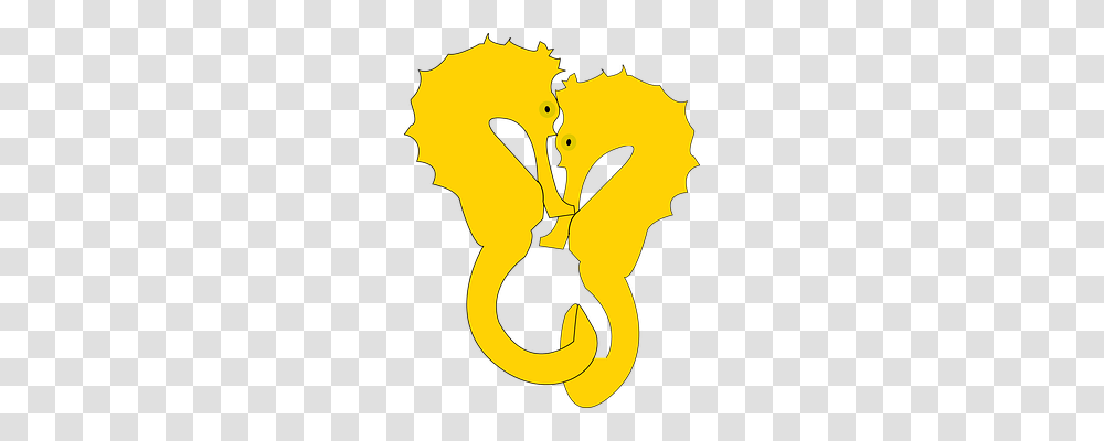 Seahorse Emotion, Stain, Person, Human Transparent Png