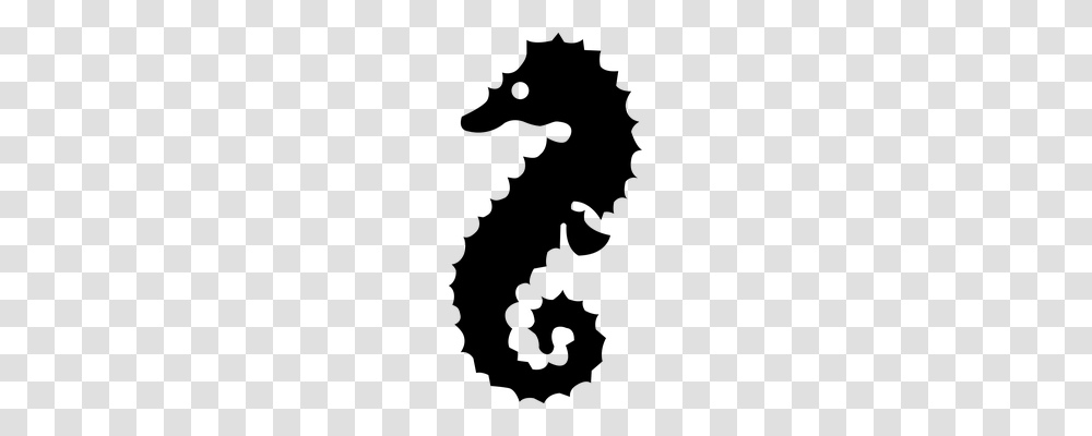 Seahorse Holiday, Gray, World Of Warcraft Transparent Png