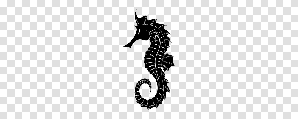 Seahorse Holiday, Gray, World Of Warcraft Transparent Png