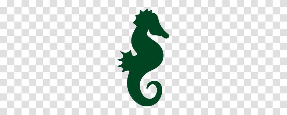 Seahorse Holiday, Leaf, Plant Transparent Png