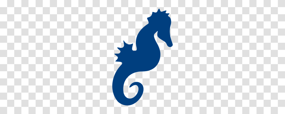 Seahorse Holiday, Dragon, Silhouette Transparent Png