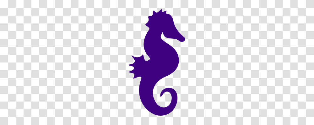 Seahorse Animals, Purple, Silhouette, Person Transparent Png