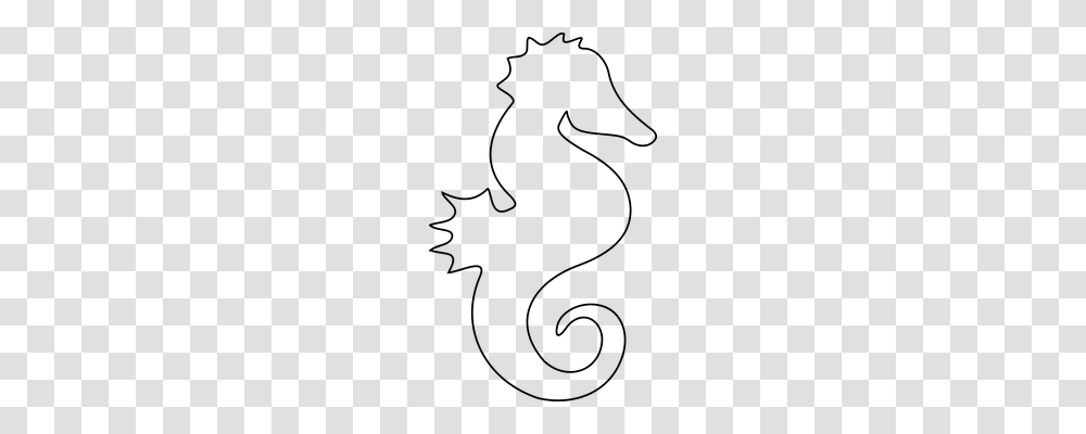 Seahorse Holiday, Gray, World Of Warcraft Transparent Png