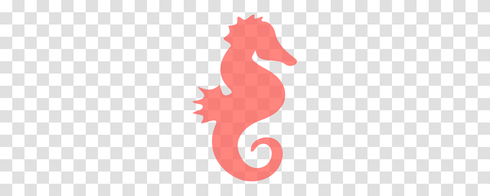 Seahorse Holiday, Leaf, Plant, Heart Transparent Png