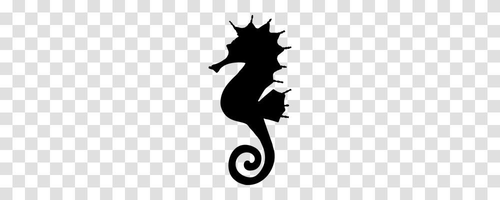 Seahorse Animals, Gray, World Of Warcraft Transparent Png