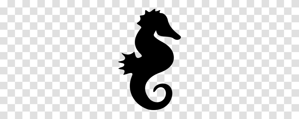 Seahorse Nature, Gray, World Of Warcraft Transparent Png