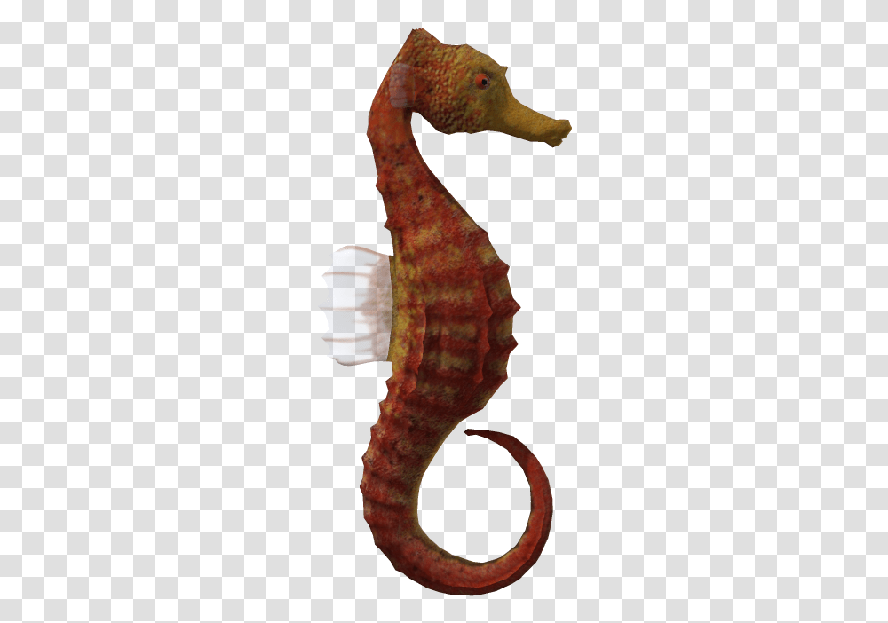Seahorse Animal 3d Computer Graphics Seahorse With No Background, Sea Life, Mammal Transparent Png