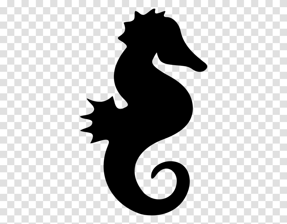 Seahorse, Animals, Gray, World Of Warcraft Transparent Png