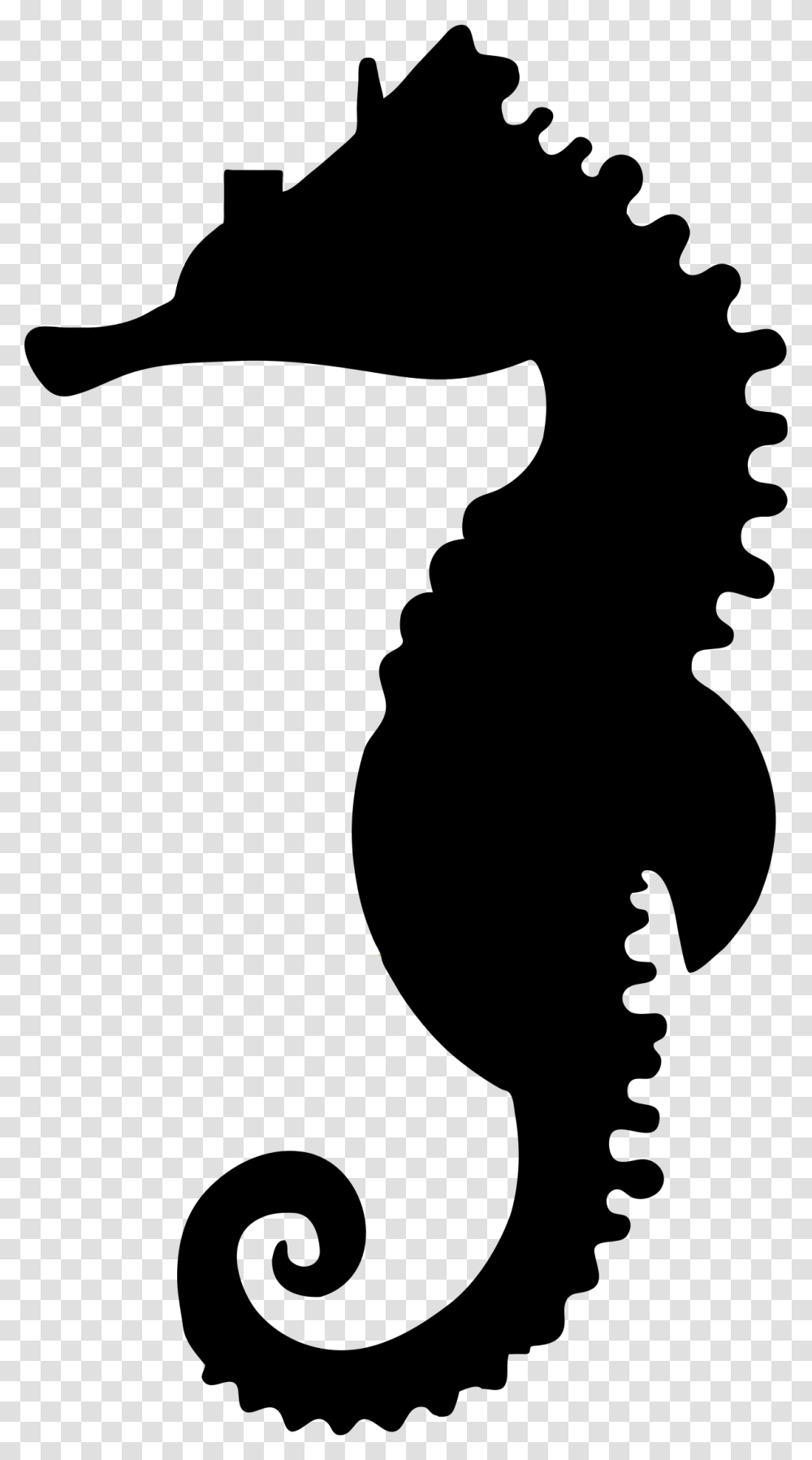 Seahorse, Animals, Outdoors, Nature, Outer Space Transparent Png