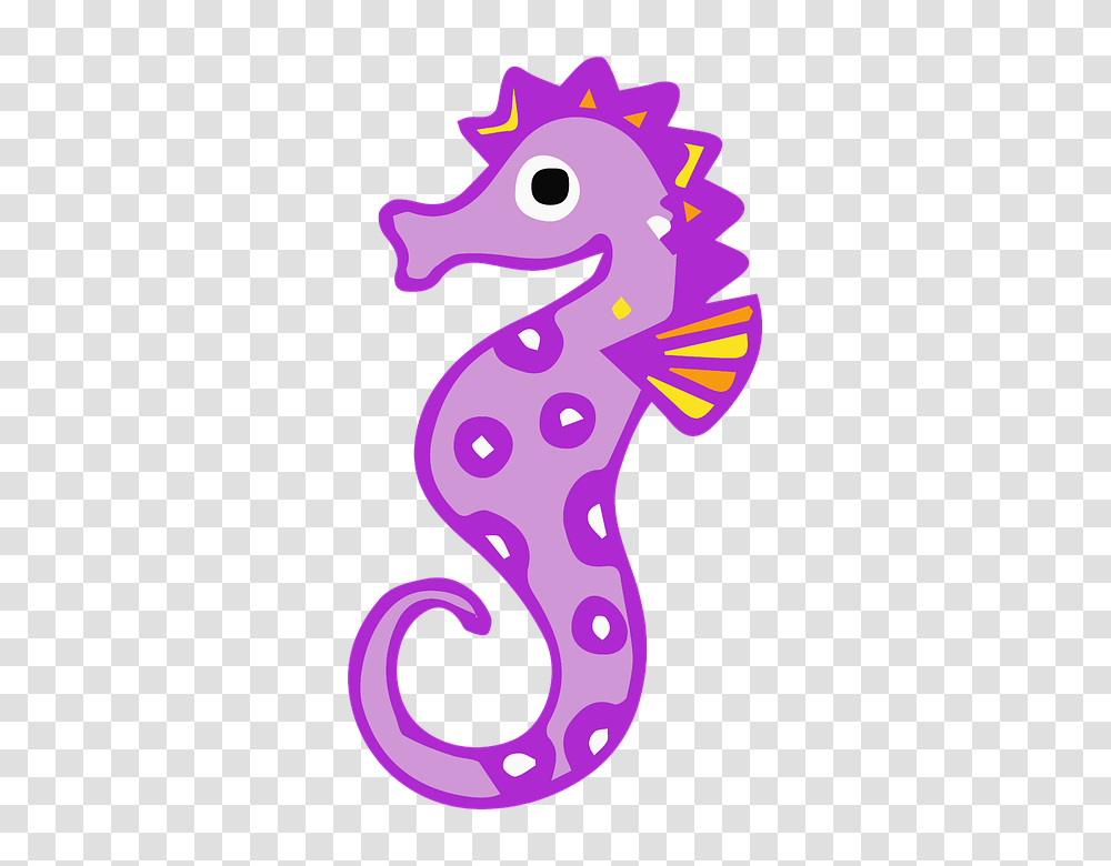 Seahorse, Animals, Purple, Mammal, Sea Life Transparent Png