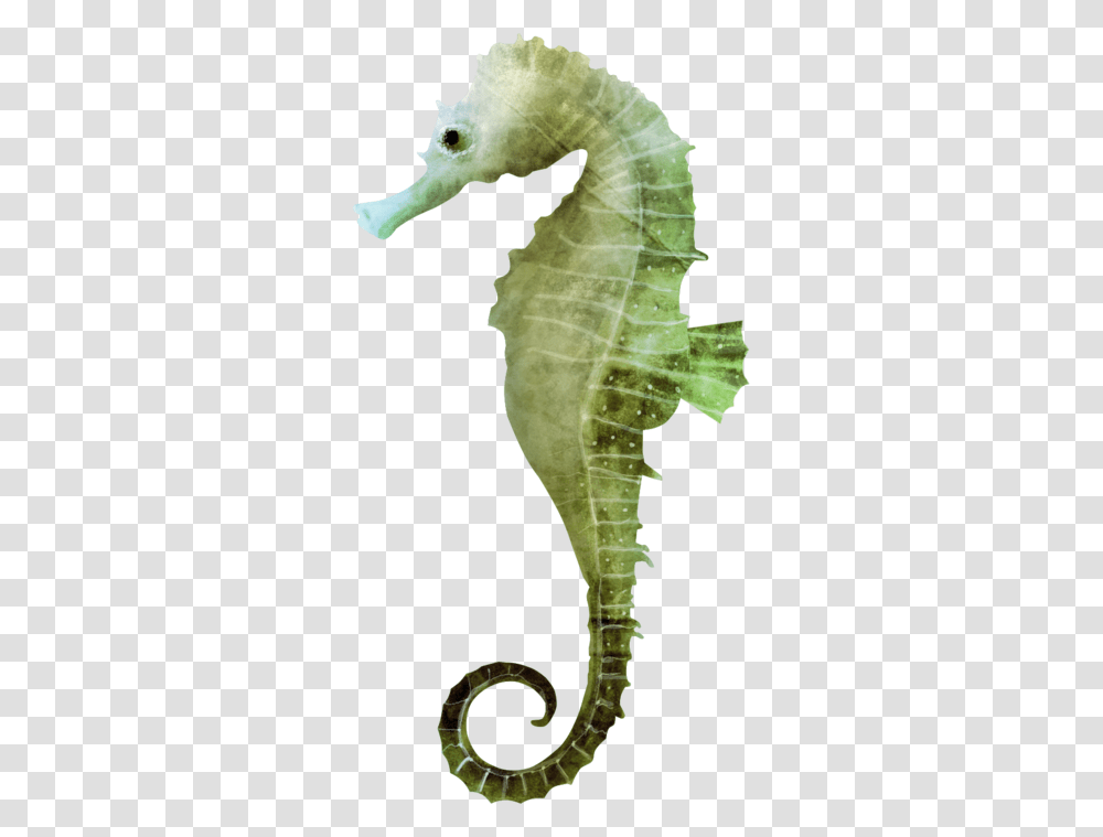 Seahorse, Animals, Sea Life, Mammal, Bird Transparent Png