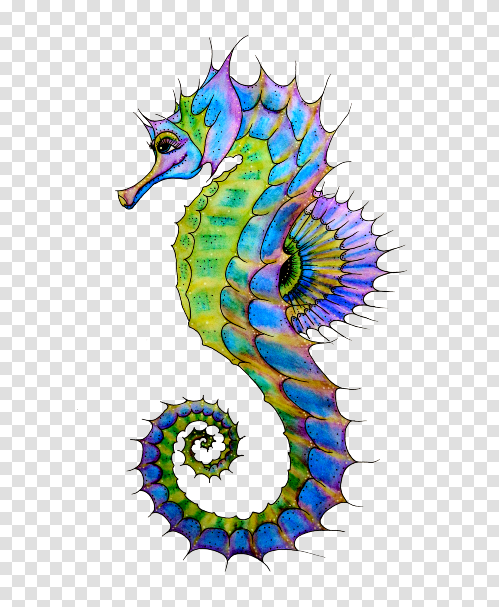 Seahorse, Animals, Sea Life, Mammal Transparent Png